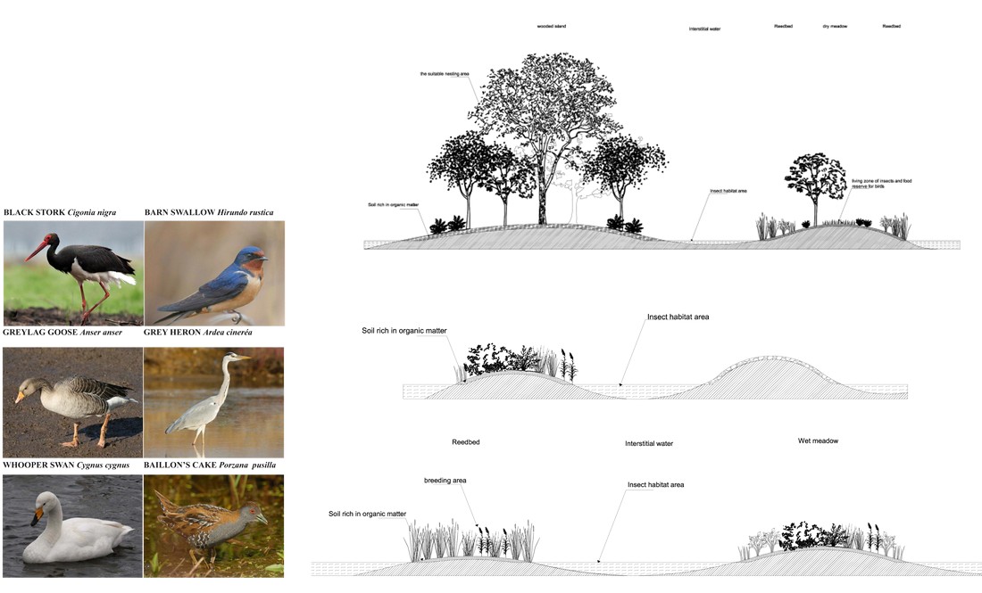 ecological habitats